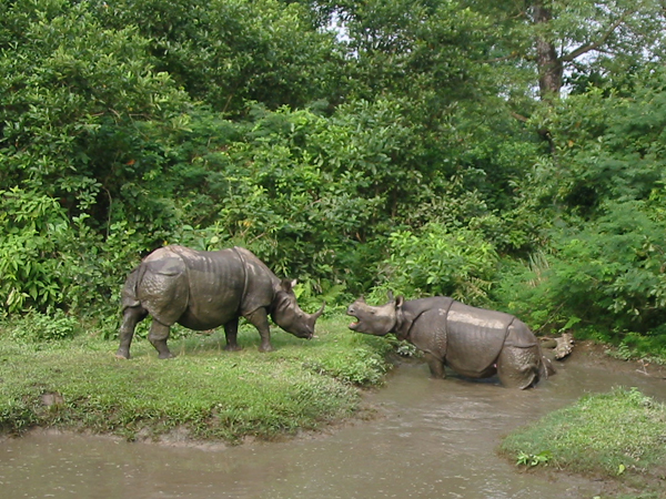 Nepal Wildlife & Nature Tours