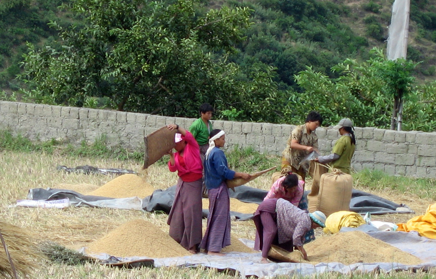 Eco Learning & Farm Life Experience Tour