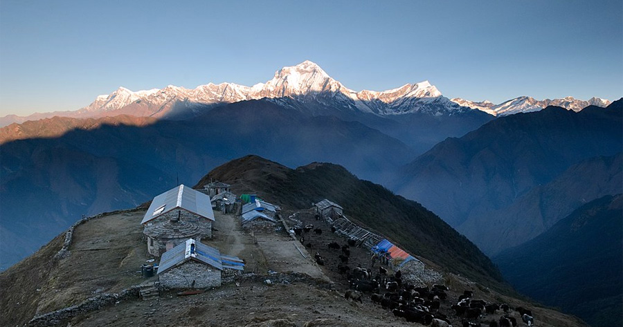 Mohare and Khopra Danda Trek