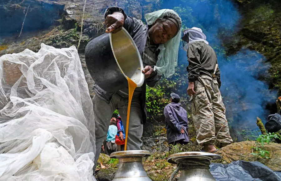 Nepal Honey Hunting Tour