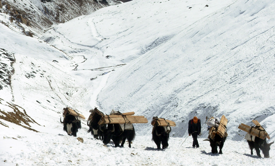 Remote area Trekking