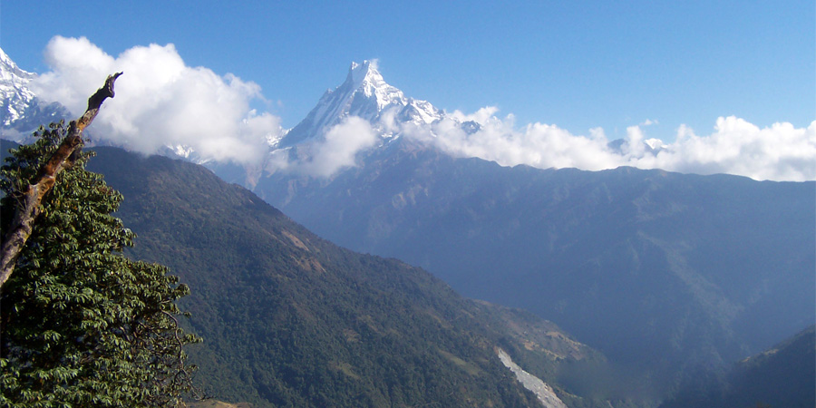 Annapurna Trek with Wildlife Safari